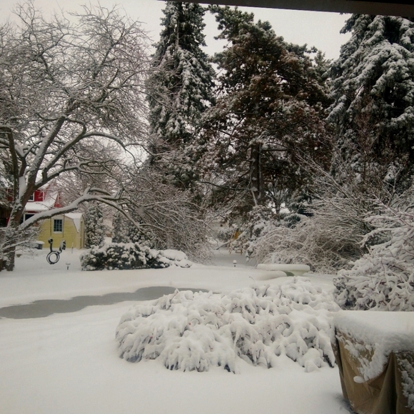 Meet your Posher, Cheryl - Picture 1 of 1